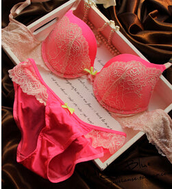 Women's Sexy Lace Embroidery Lingerie Bra B C cup
